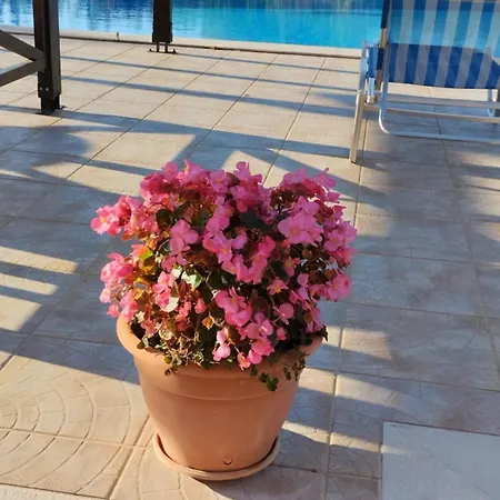 Amarandos 3* Tsoukaládhes